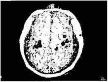 Рождение разума. Загадки нашего сознания - img_5.jpeg