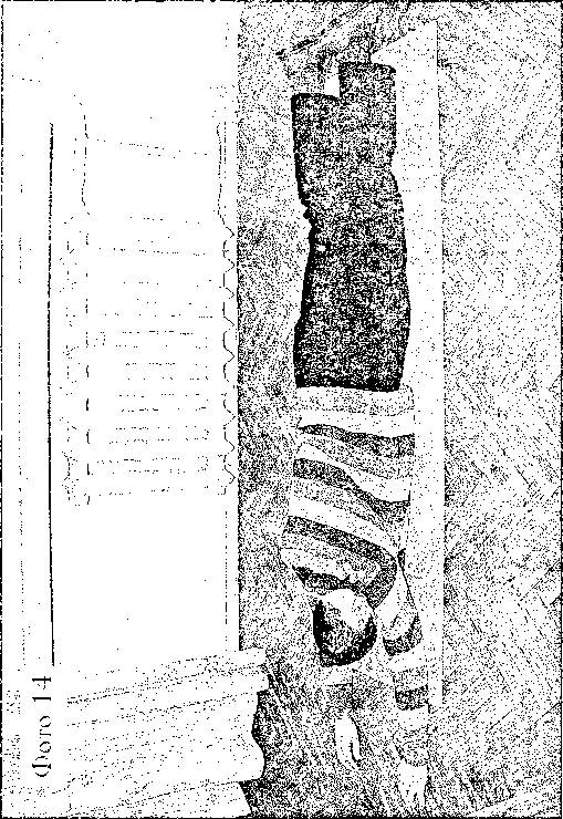 Легендарные маятниковые движения. Комплексы для сотрудников спецподразделений - i_014.png