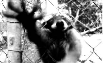 Открытия и гипотезы, 2005 №11 - _17.jpg