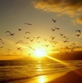 Жить в радость (СИ) - автор Мамуени Эмма 