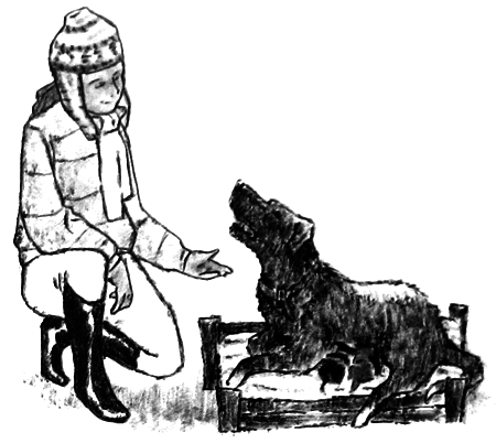 Курячий бог - i_032.png