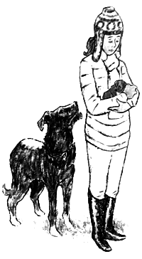 Курячий бог - i_046.png