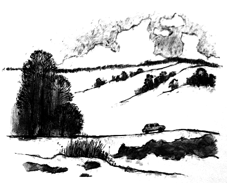 Курячий бог - i_047.png