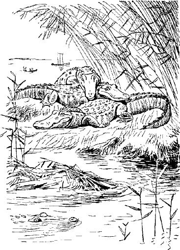 Крокодилы Янцзы - Untitled16.png