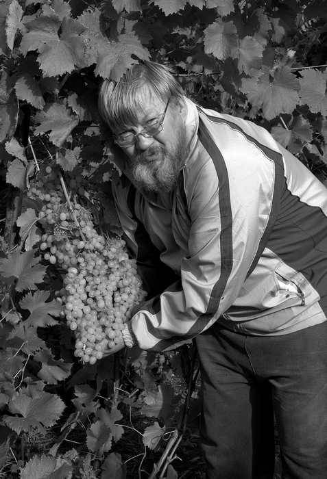 Домашний виноградник - i_001.jpg