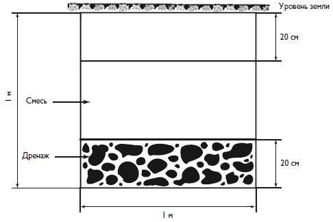 Домашний виноградник - i_002.jpg