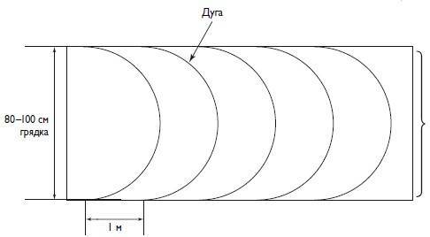 Домашний виноградник - i_004.jpg