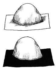 Тайны биологии - i_006.png