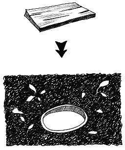 Тайны биологии - i_013.png