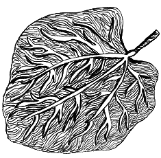 Тайны биологии - i_032.png