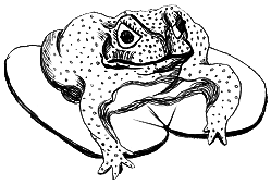 Тайны биологии - i_063.png