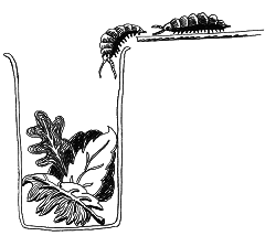 Тайны биологии - i_066.png