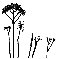 Тайны биологии - i_073.png