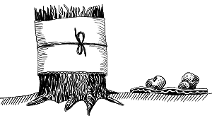 Тайны биологии - i_108.png