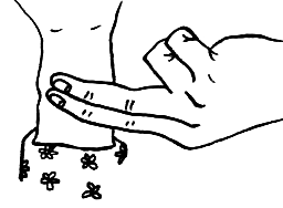 Что умеет наше тело? - i_085.png