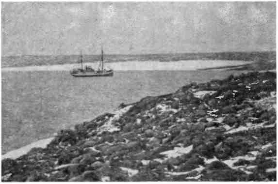 Зимовка на «Торосе» - img_13.jpeg