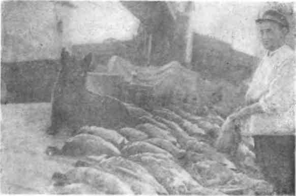 Зимовка на «Торосе» - img_38.jpeg