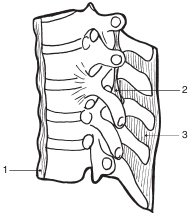 Костоправ. Исцеляющие практики - i_008.png