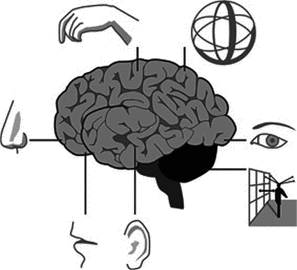 Прокачай свой мозг! - _057.png