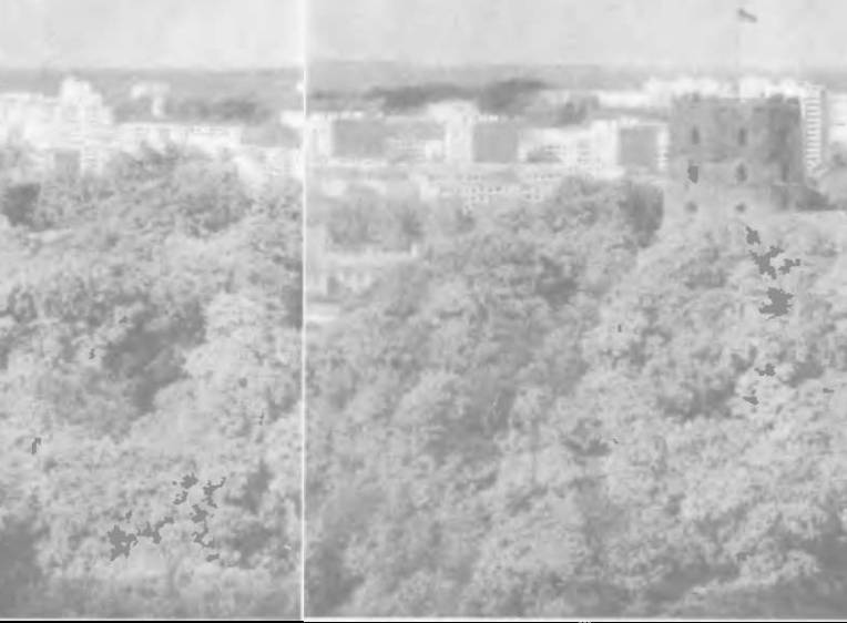 Прибалтика. Почему они не любят Бронзового солдата - _45.jpg