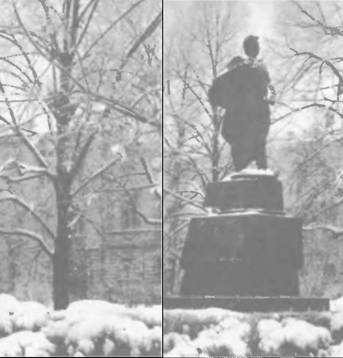 Прибалтика. Почему они не любят Бронзового солдата - _52.jpg