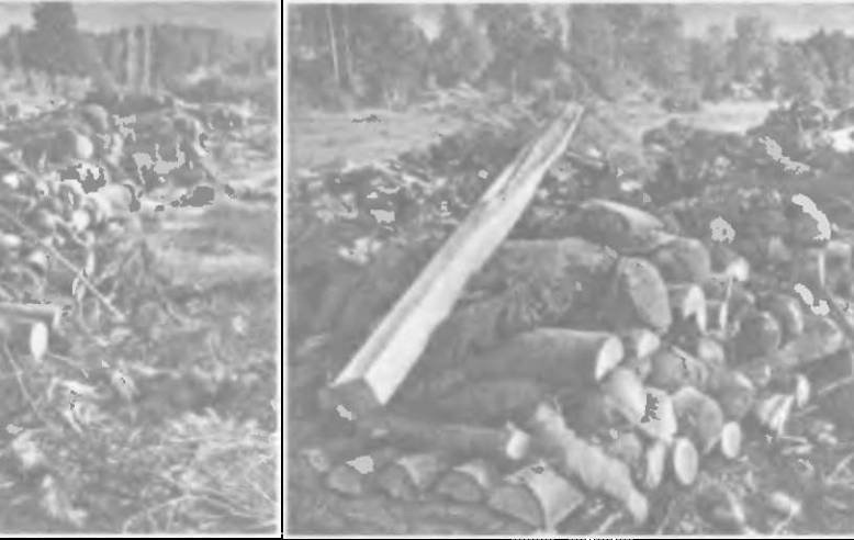 Прибалтика. Почему они не любят Бронзового солдата - _41.jpg