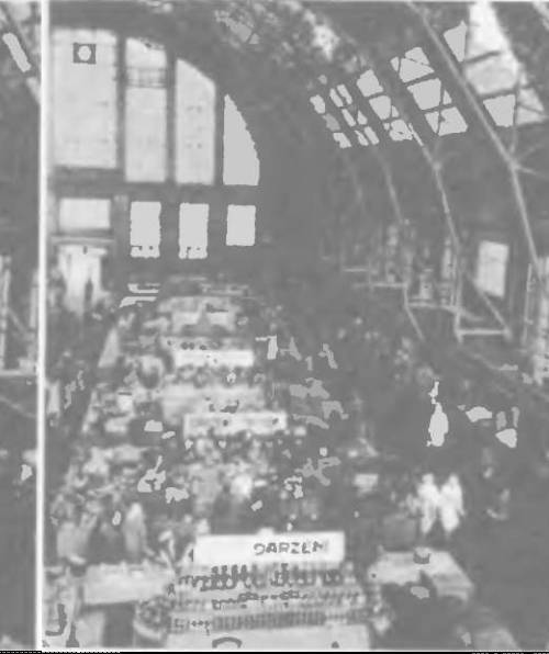 Прибалтика. Почему они не любят Бронзового солдата - _55.jpg