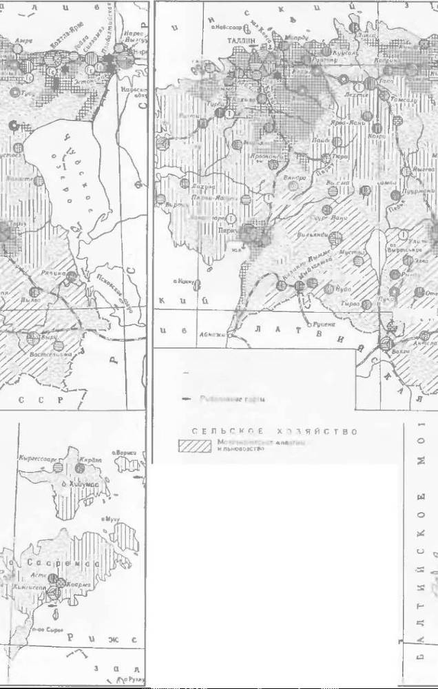 Прибалтика. Почему они не любят Бронзового солдата - _60.jpg
