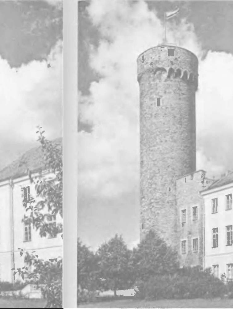 Прибалтика. Почему они не любят Бронзового солдата - _61.jpg