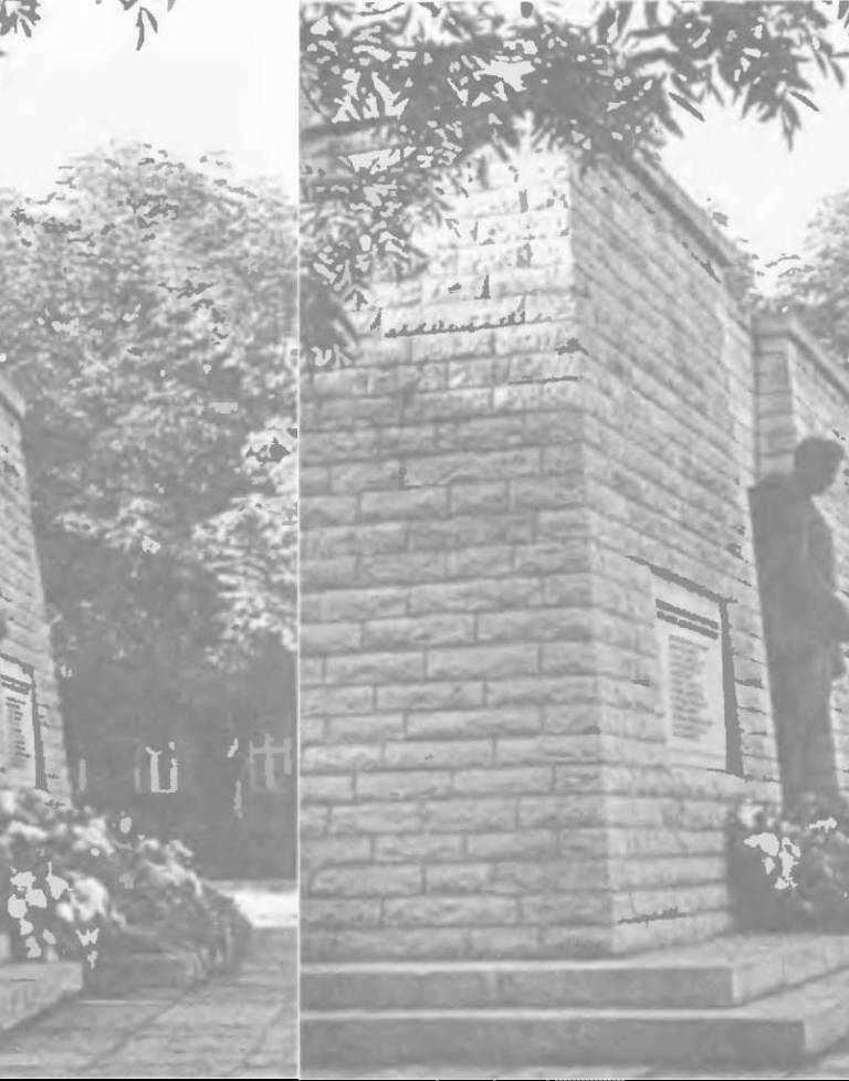 Прибалтика. Почему они не любят Бронзового солдата - _63.jpg