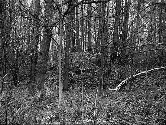 Предания Синих камней - i_008.jpg