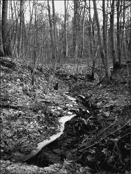 Предания Синих камней - i_016.jpg