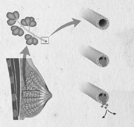 Девочка. Девушка. Женщина - i_019.jpg