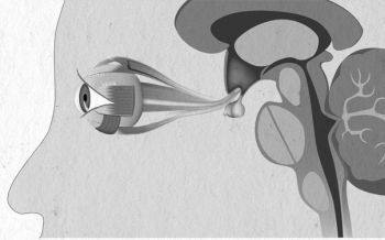 Девочка. Девушка. Женщина - i_021.jpg