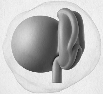 Девочка. Девушка. Женщина - i_027.jpg