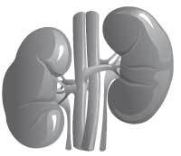 Чистки организма. Лучшие методики - i_007.jpg