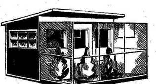 Волнистые попугайчики. Уход и содержание - _6.jpg