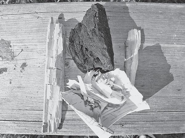 Пчеловодство для начинающих - _12.jpg