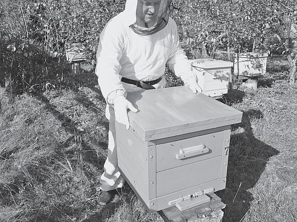 Пчеловодство для начинающих - _23.jpg