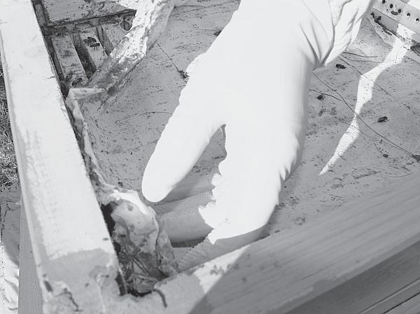 Пчеловодство для начинающих - _27.jpg