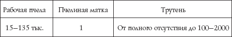 Пчеловодство для начинающих - _29.png