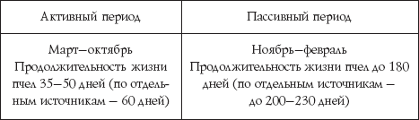 Пчеловодство для начинающих - _30.png