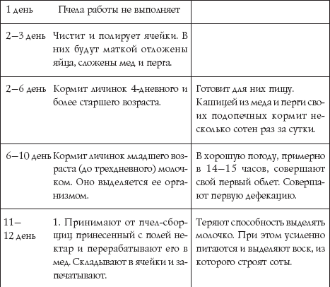 Пчеловодство для начинающих - _34.png