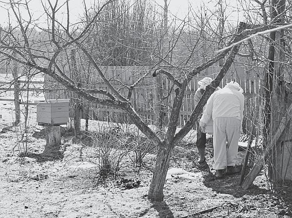 Пчеловодство для начинающих - _39.jpg