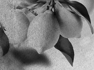 Советское домоводство - i_008.jpg