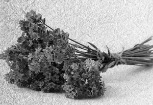 Советское домоводство - i_020.jpg