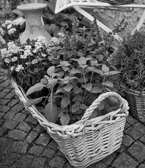 Советское домоводство - i_069.jpg