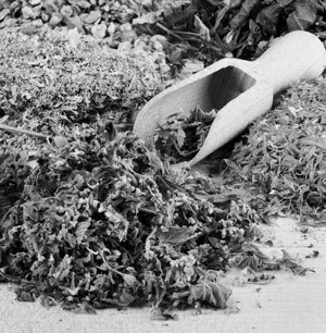 Советское домоводство - i_071.jpg