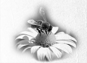 Советское домоводство - i_083.jpg