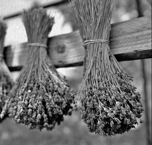 Советское домоводство - i_097.jpg